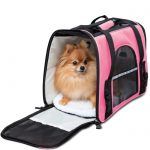 Pet travel accessories