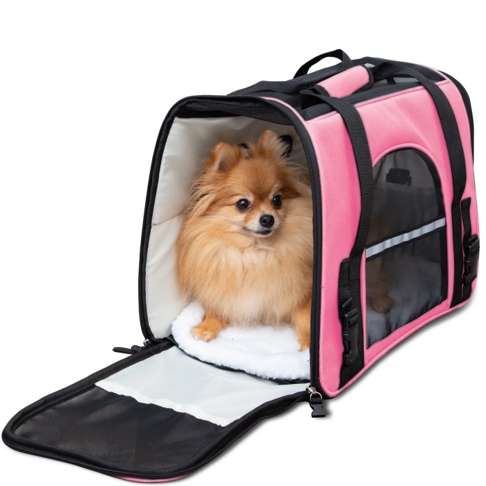 Pet travel accessories