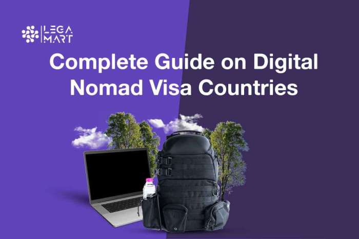 Digital nomad visa programs