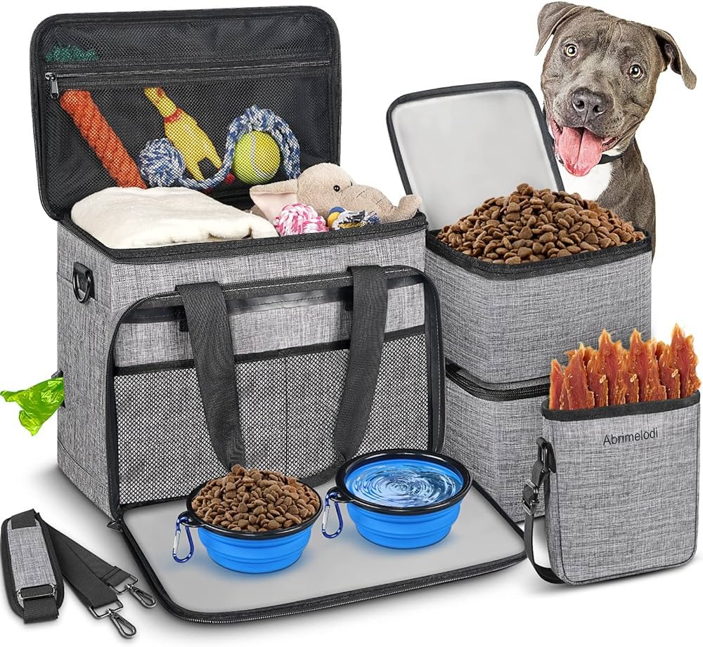 How to prepare your pet for travel