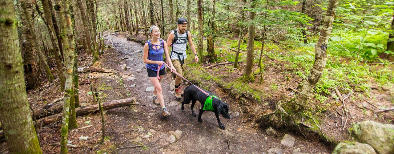 Pet-friendly parks and trails